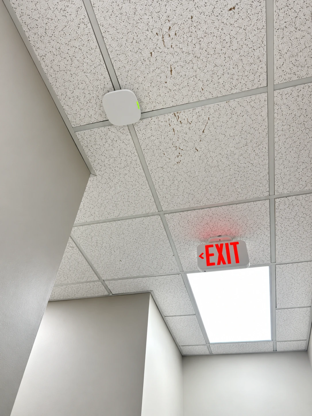 Ceiling-mounted access point supporting office Wi-Fi