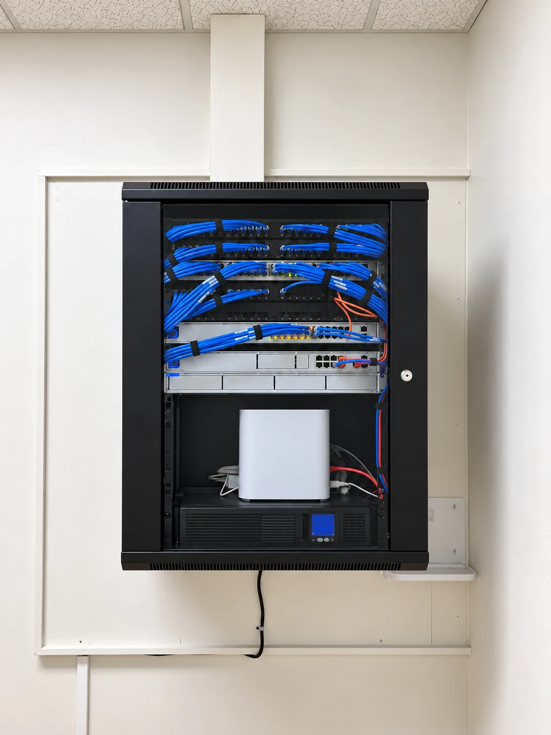 Pet clinic network cabinet and wired connections